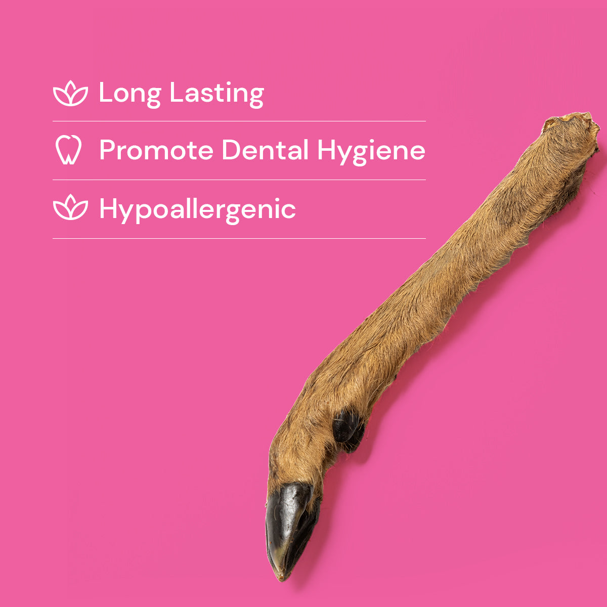 Venison (Deer) Legs - with fur/hair