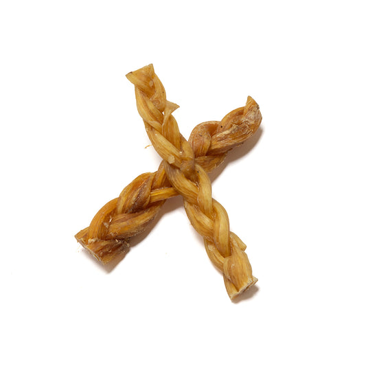 Braided Tendon