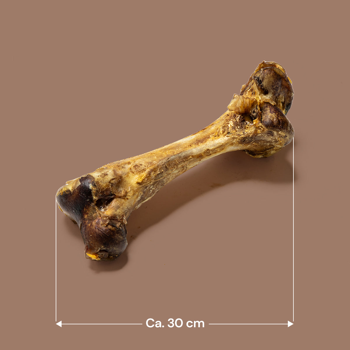 Jumbo Ostrich Bones