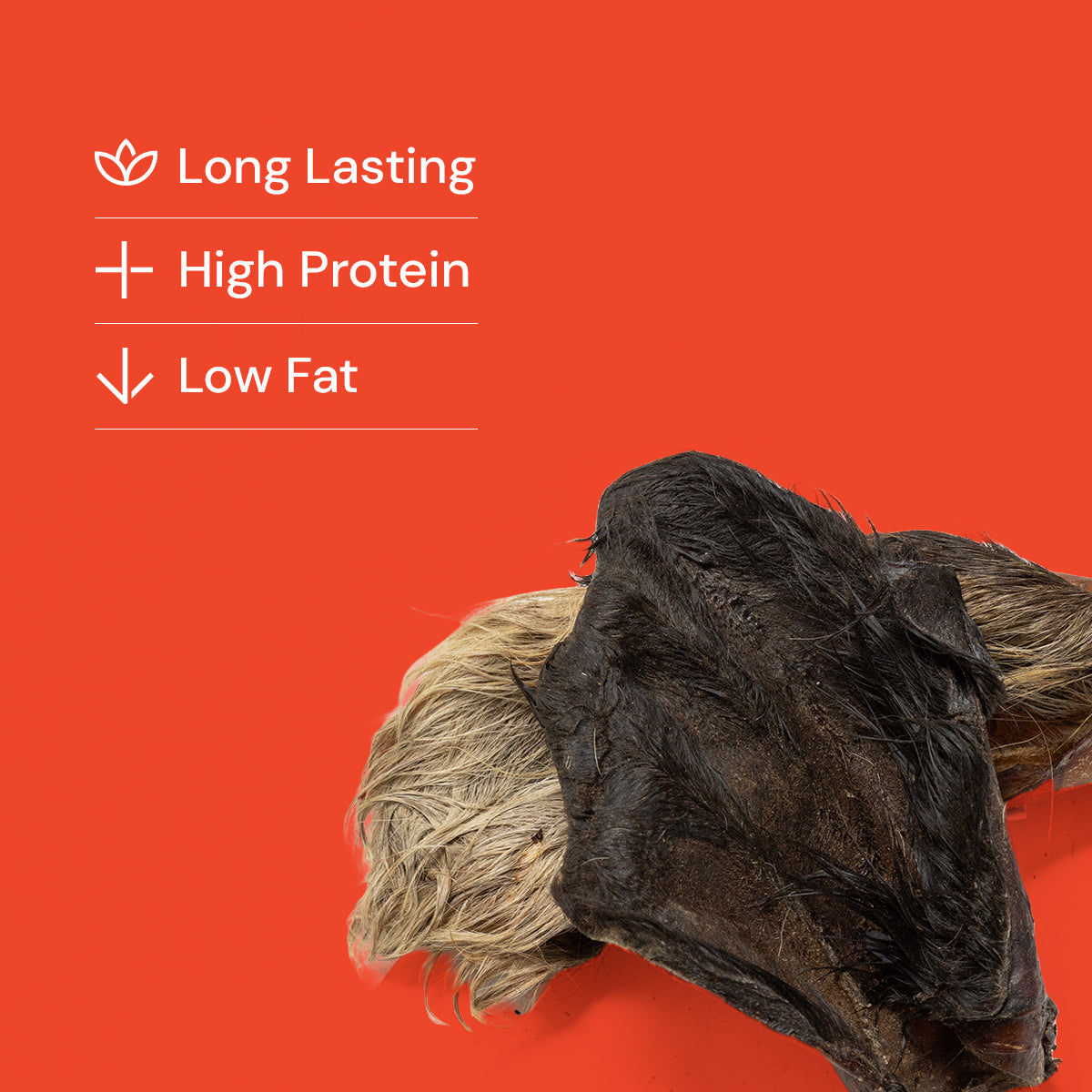 Hairy Cow Ears - Large