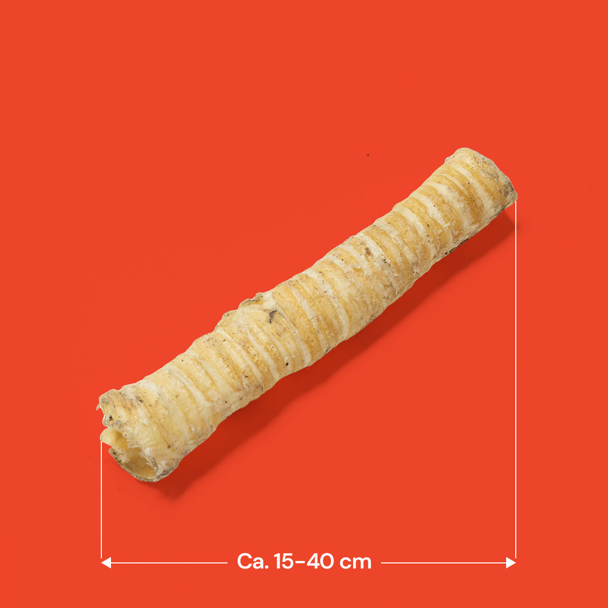 Long Trachea (Mixed 15-40cm)