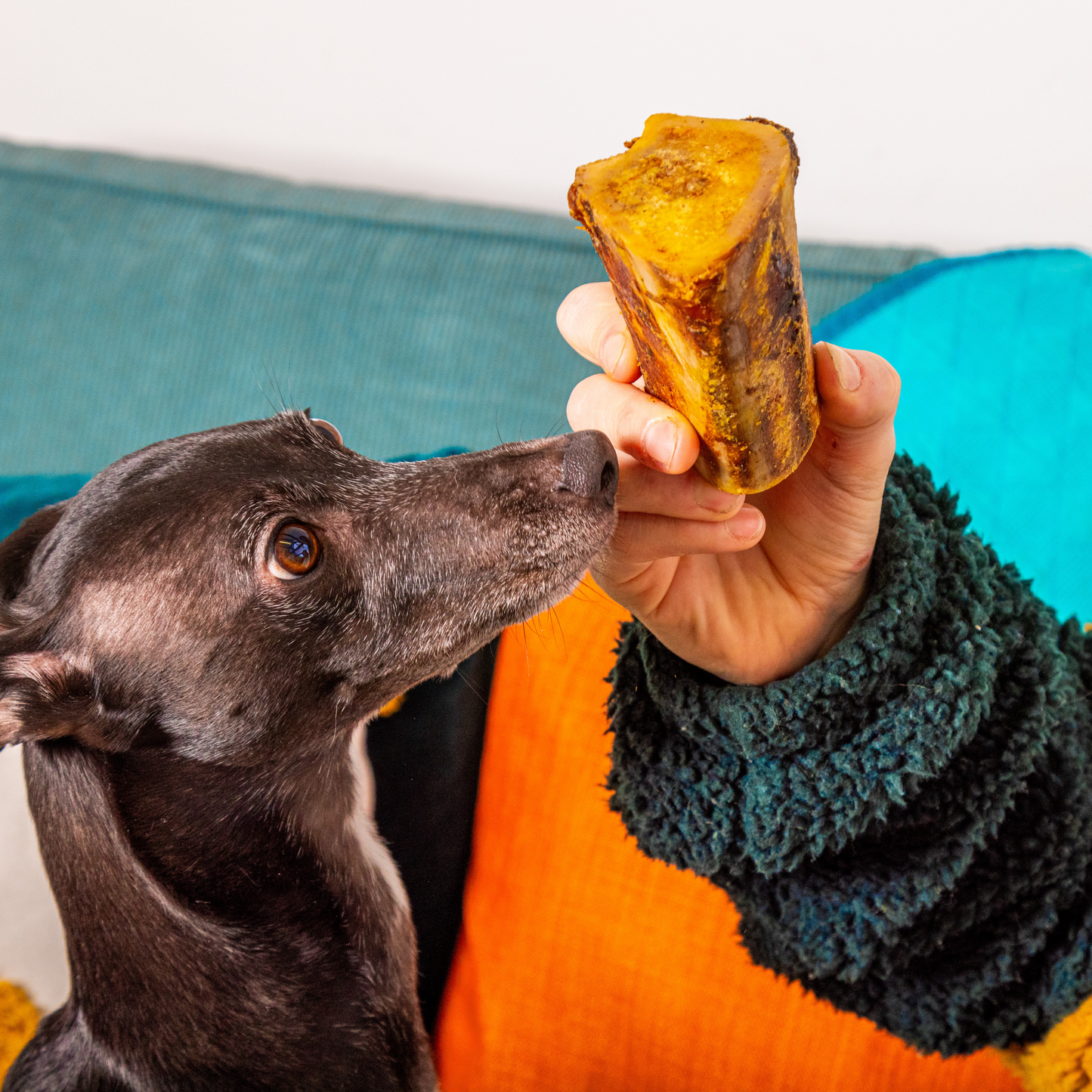 British Marrow Bones