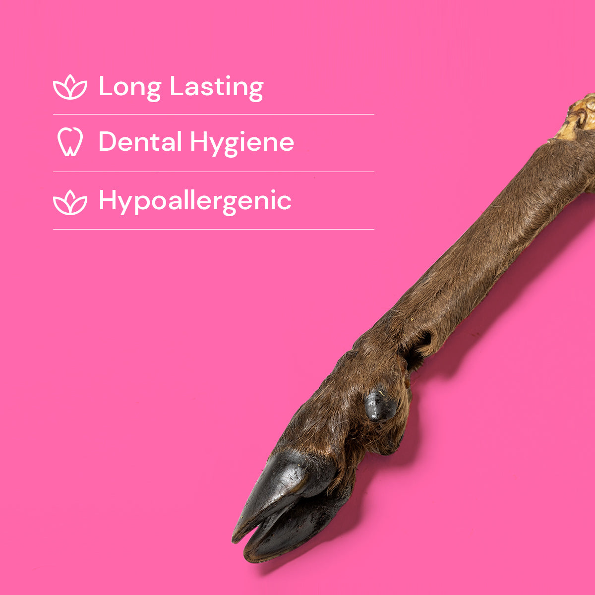 Large Hairy Venison (Deer) Legs