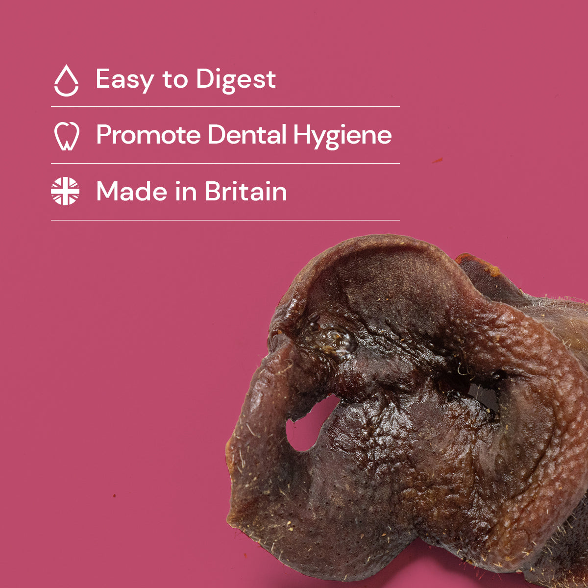 Pig Snouts - Natural