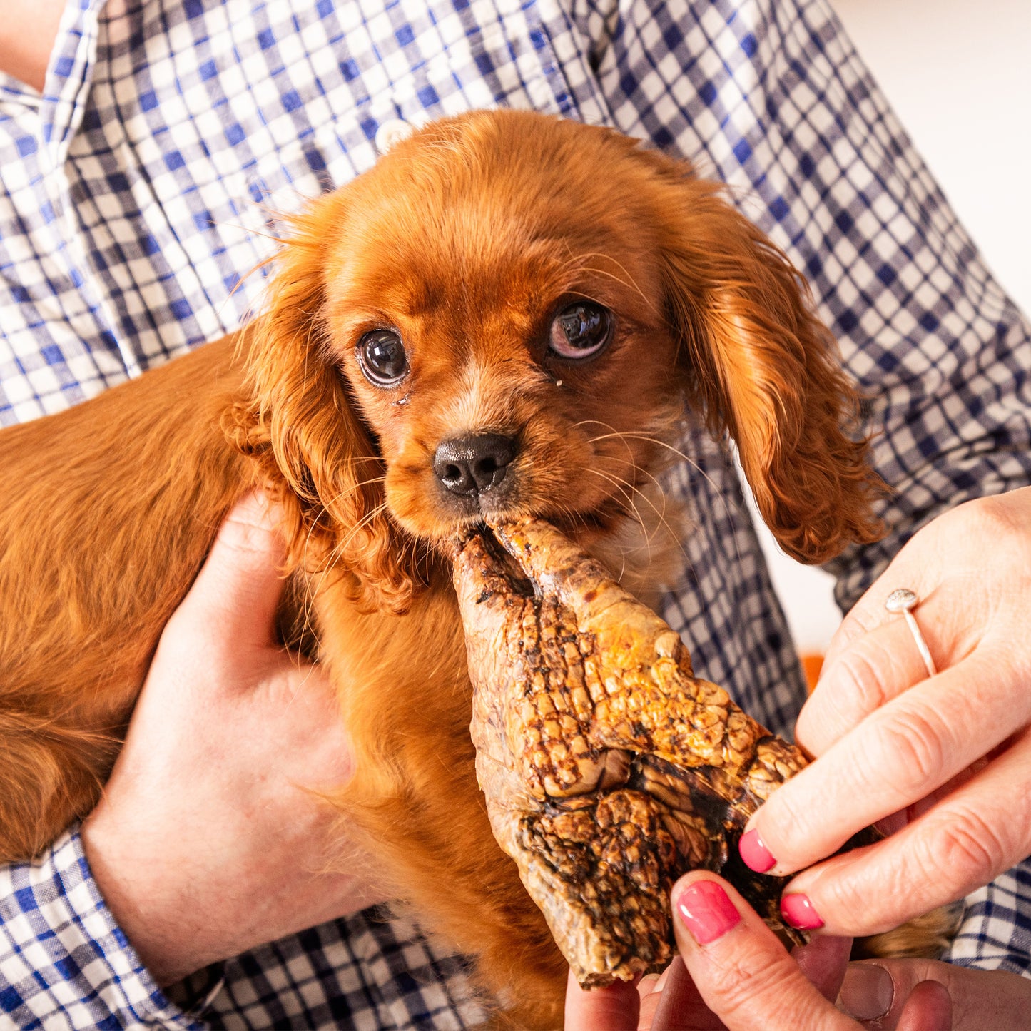 European Puffed Jerky "Beef Lung"