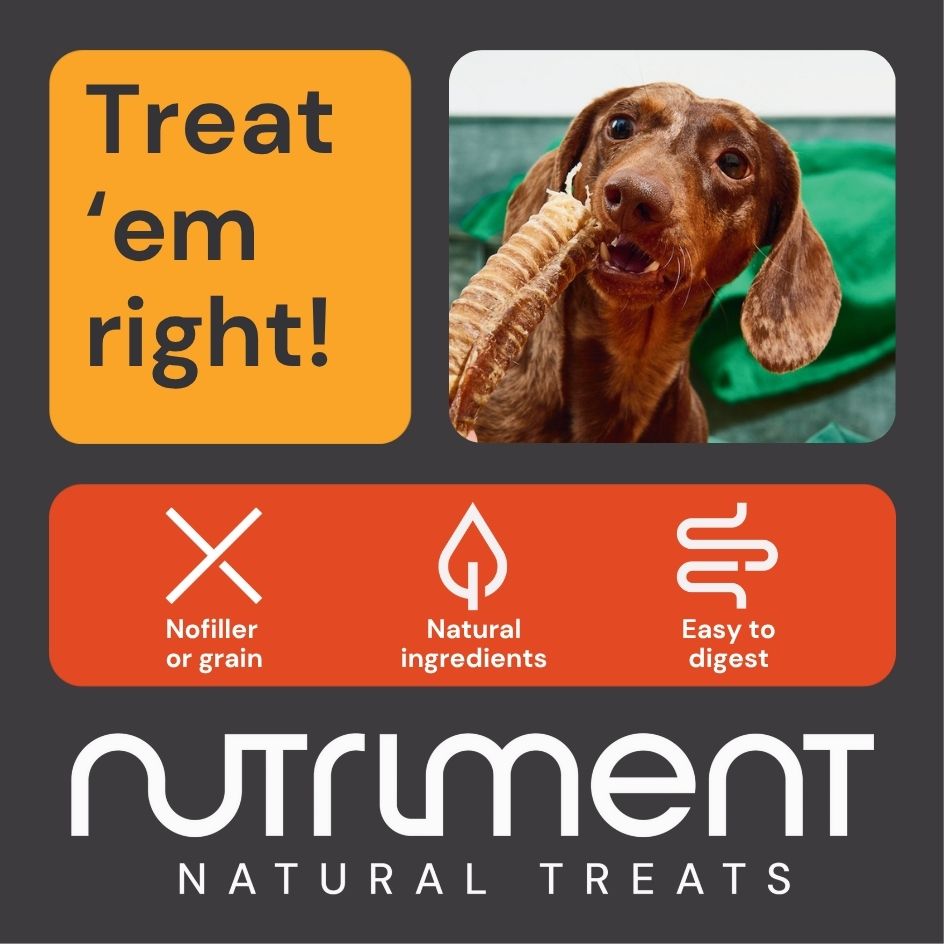 Treat 'Em Right Shelf Wobblers