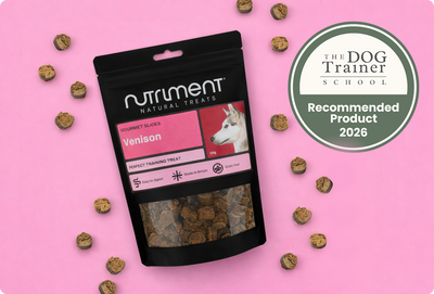 Gourmet Slices Earn The Dog Trainer School Approval