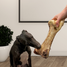 Load image into Gallery viewer, Jumbo Ostrich Bones (1pc &amp; 5pcs)
