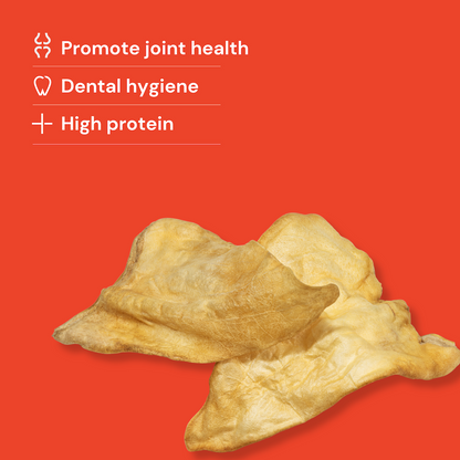 Large Cow Ears - no hair