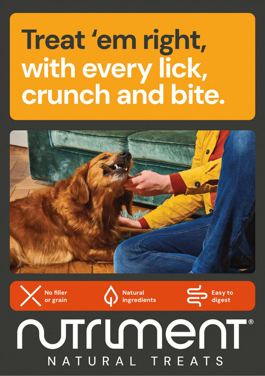 Treat 'Em Right A3 Poster