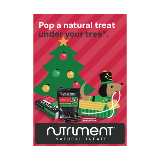 Christmas Poster