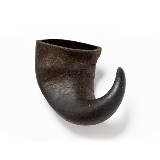 Buffalo Horns - XL/Large/Medium/Small