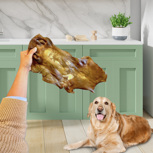 Pet treats wholesale 2024 ltd