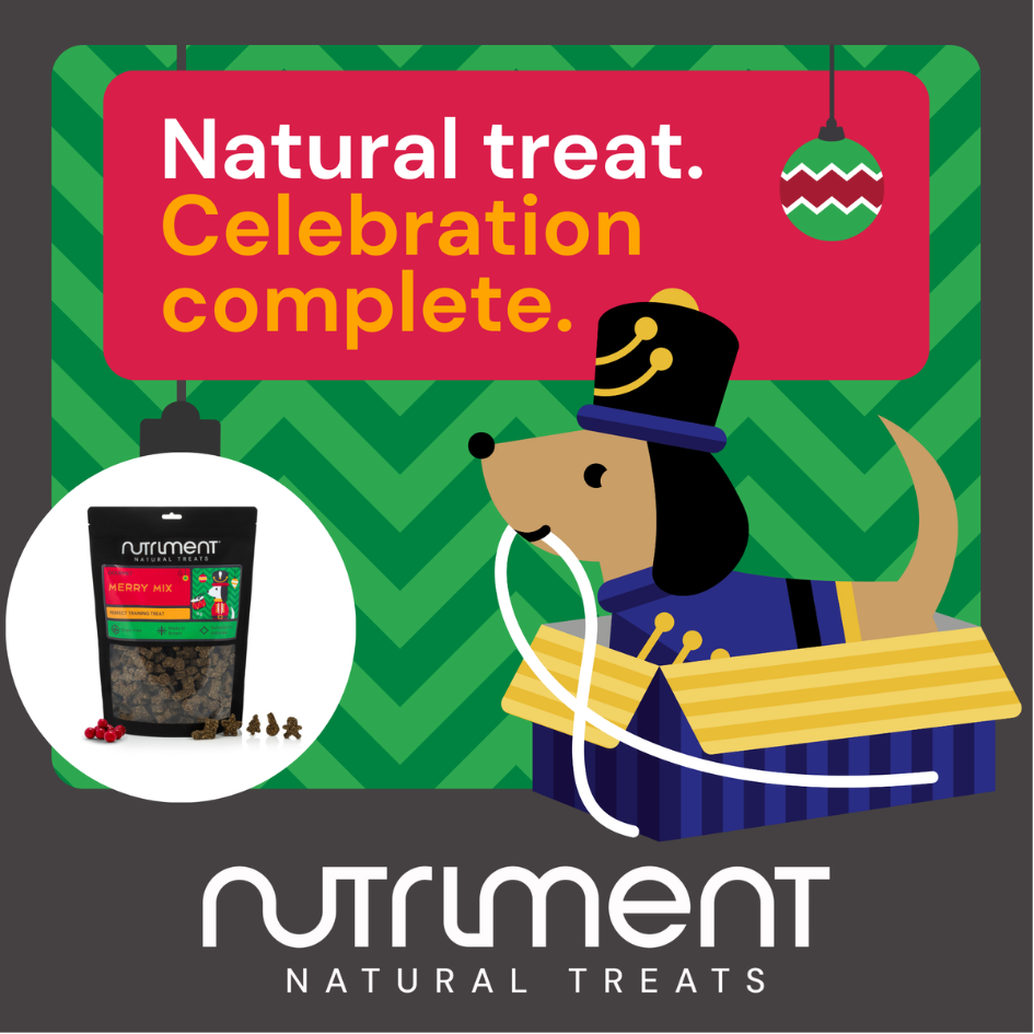 Christmas Shelf Wobbler