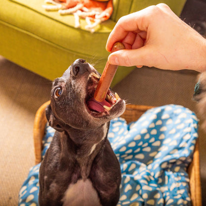 Gourmet Moist Sausages - Turkey and Cranberry