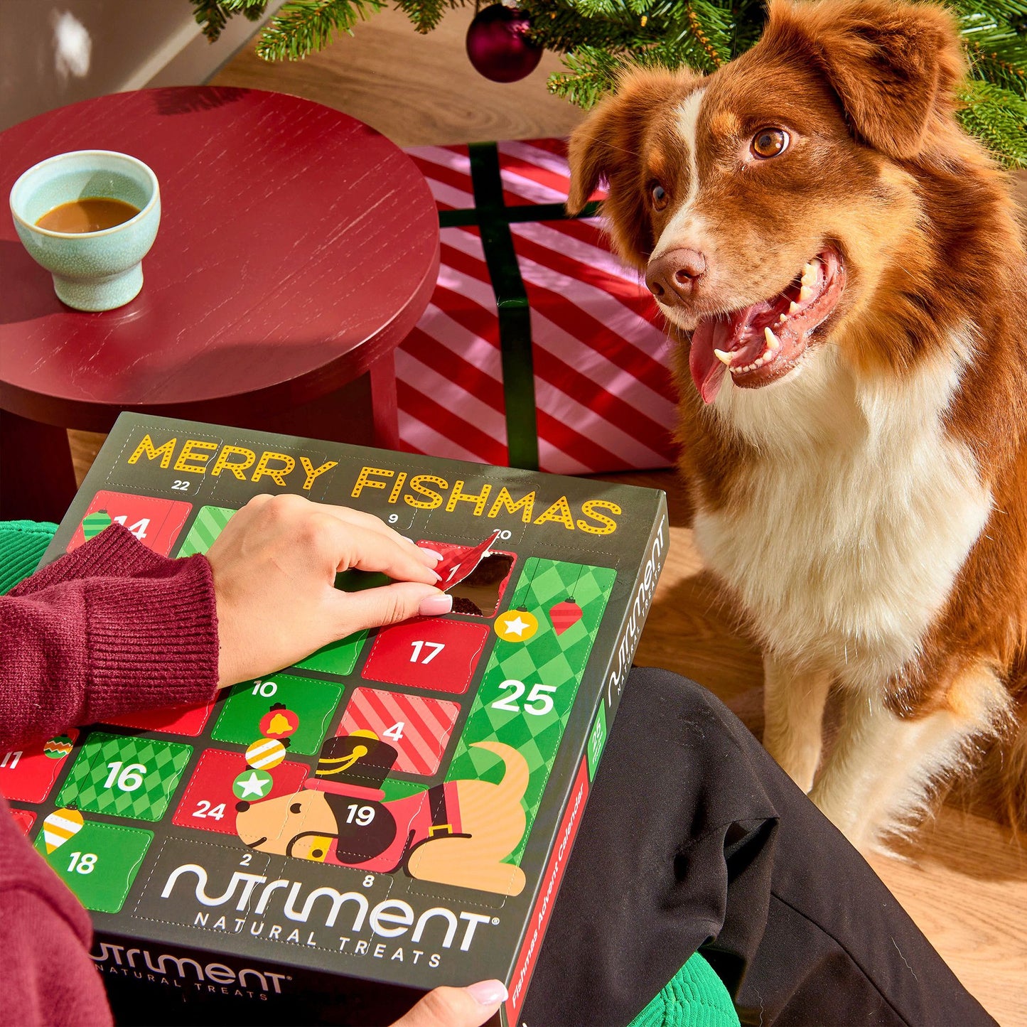 Fishmas Advent Calendars 2025 (1 box and 10 boxes)