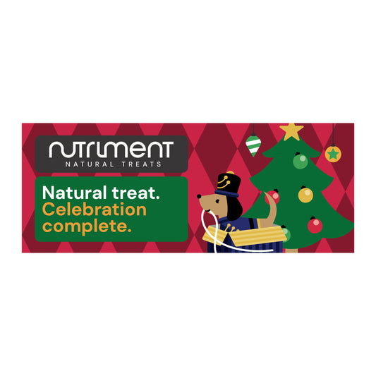 Christmas FSDU Header Board