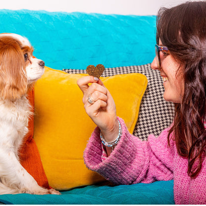 Gourmet Love Bites - Chicken