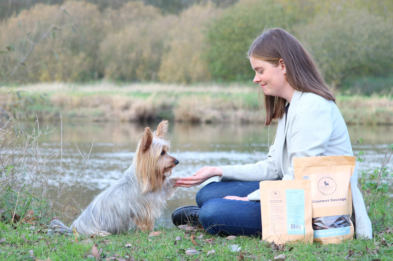 Natural treats for dogs Pet Treats Wholesale Trade & Public UK