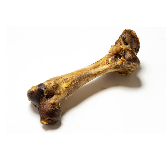 Jumbo Ostrich Bones