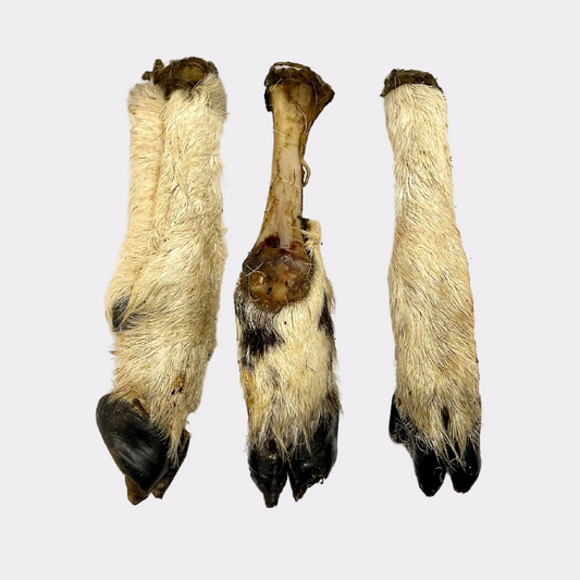 Hairy Lamb Feet "Lamb Legs"