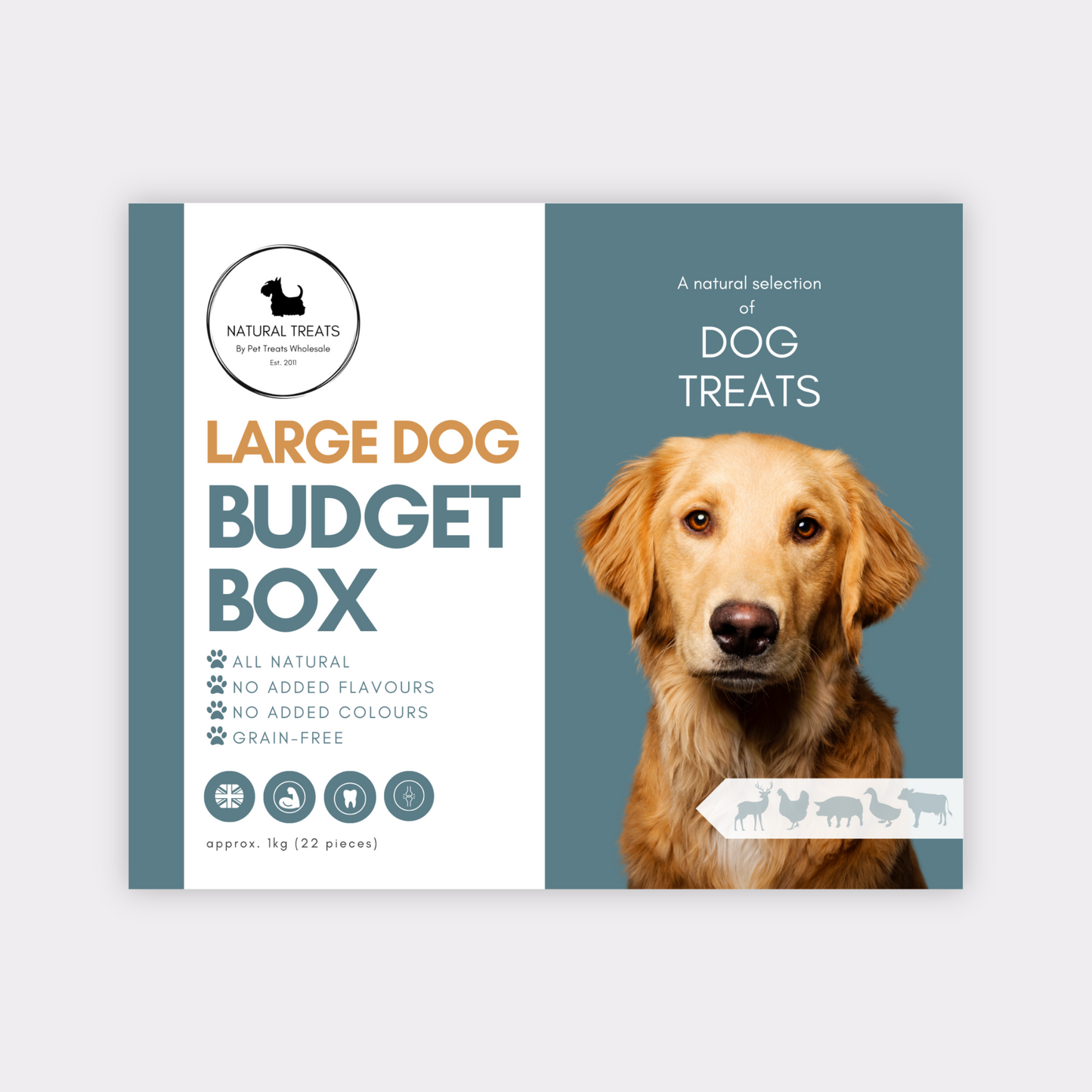 Budget Box - Large Dogs