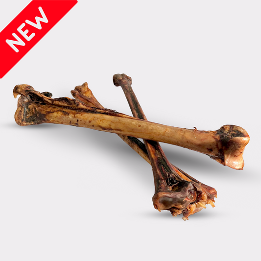 Long Ostrich Bones