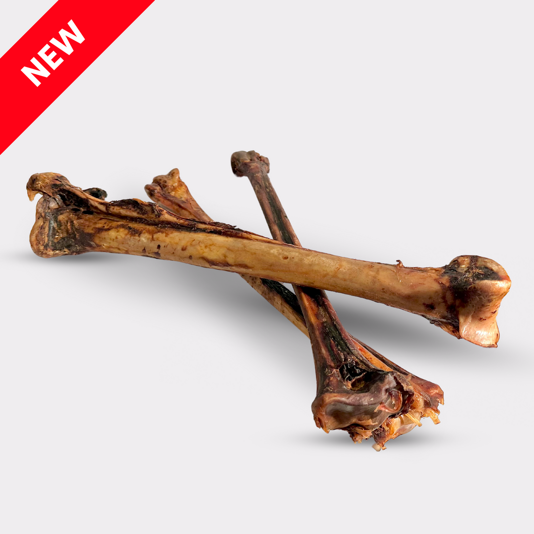 Long Ostrich Bones (1pc)