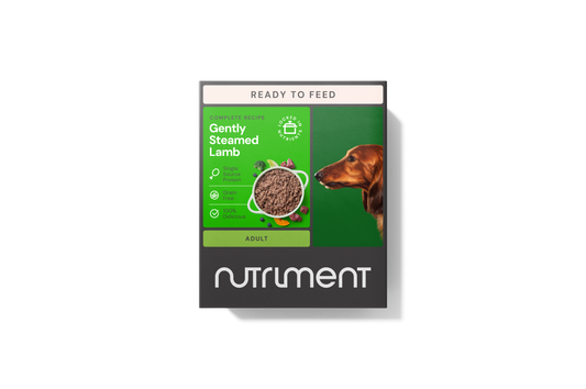 Nutriment Gently Steamed - Lamb for Dogs