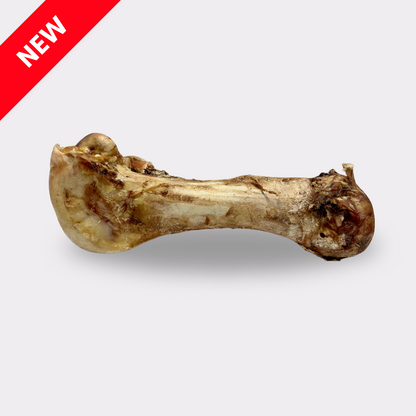 Jumbo Ostrich Bones