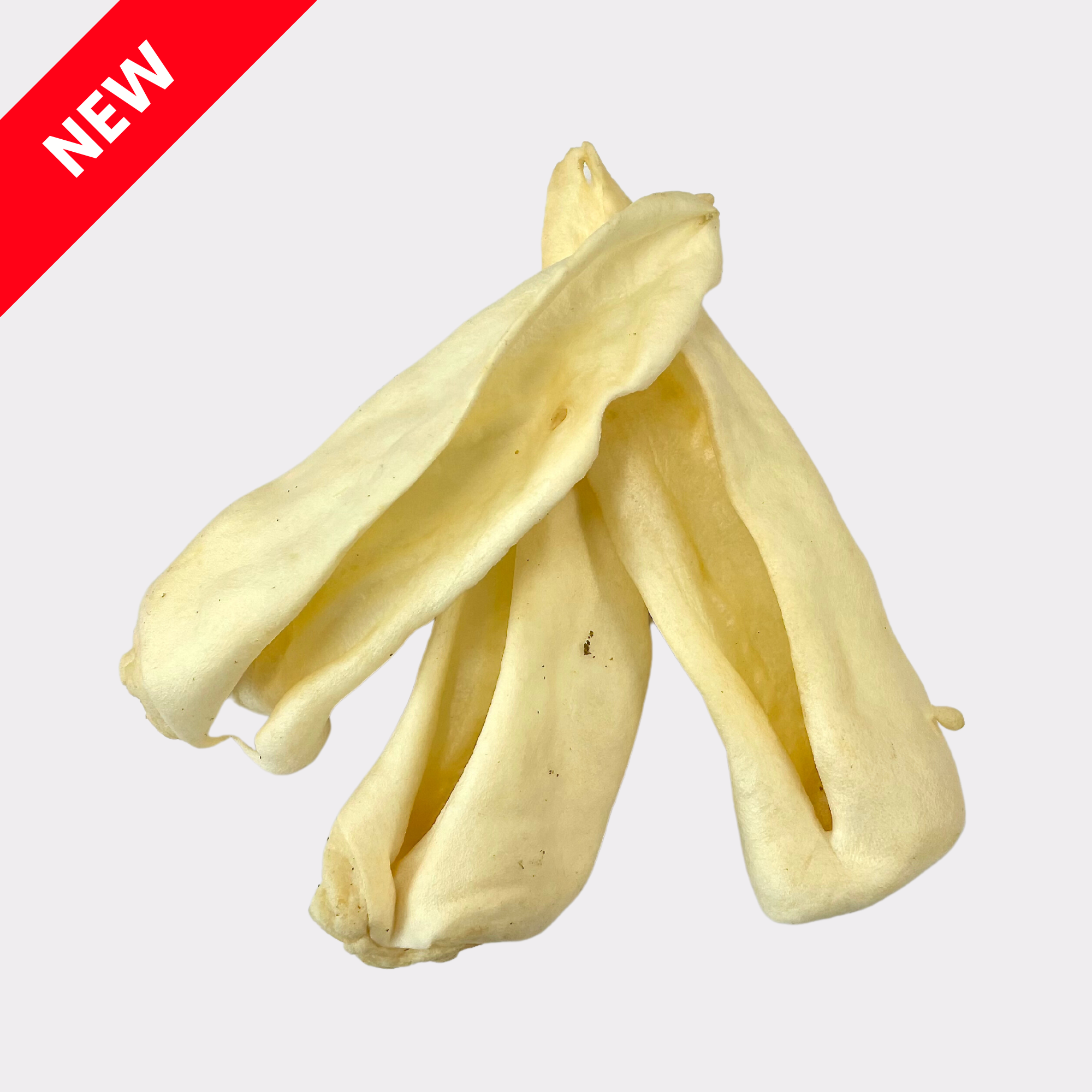 Plain Goat Ears (5pcs & 10pcs) Pet Treats Wholesale Ltd. Trade