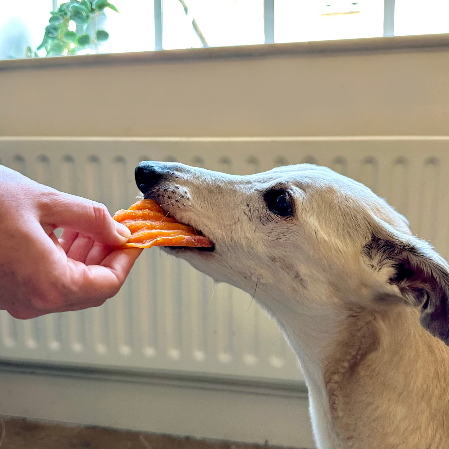 Sweet Potato Slices