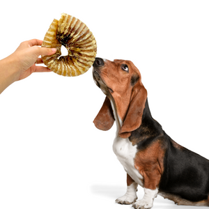 Beef Trachea Rings