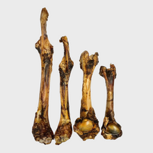 Load image into Gallery viewer, Venison (Deer) Bones - L, M &amp; S (1pc &amp; 10pcs)
