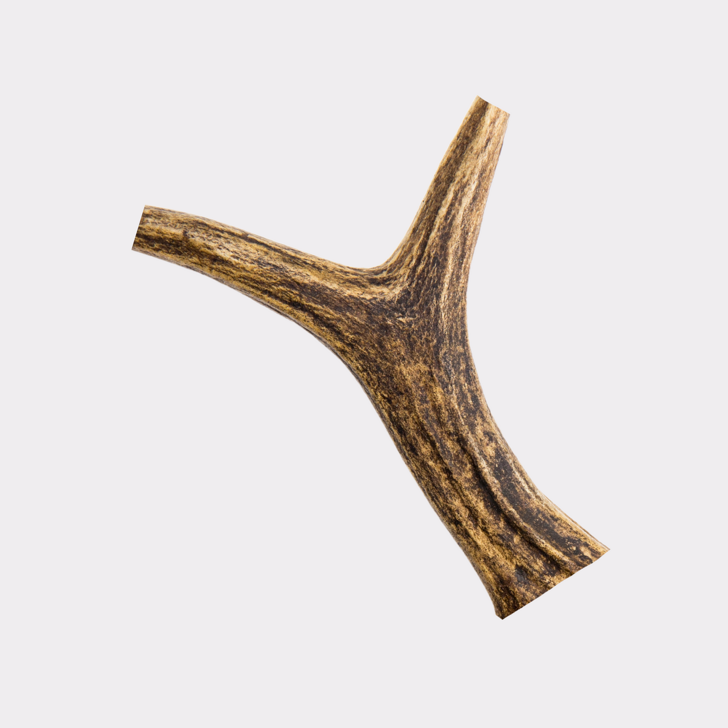 Antlers