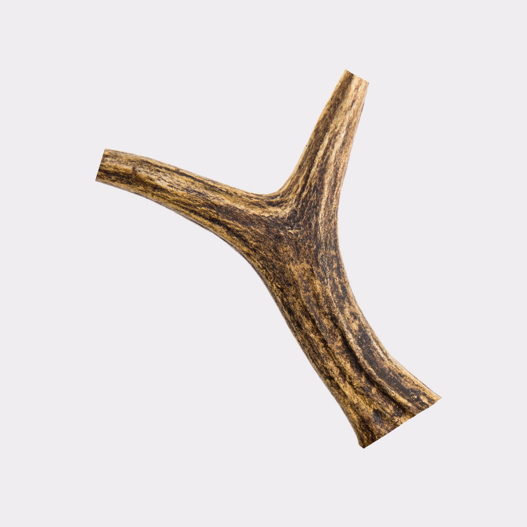Antlers (S, M, L & XL - 1pc)