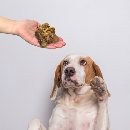 Beef Lung Cubes