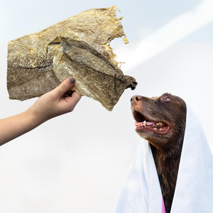 Natural treats for dogs Pet Treats Wholesale Trade Public