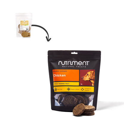 Gourmet Burgers - 6 Flavours