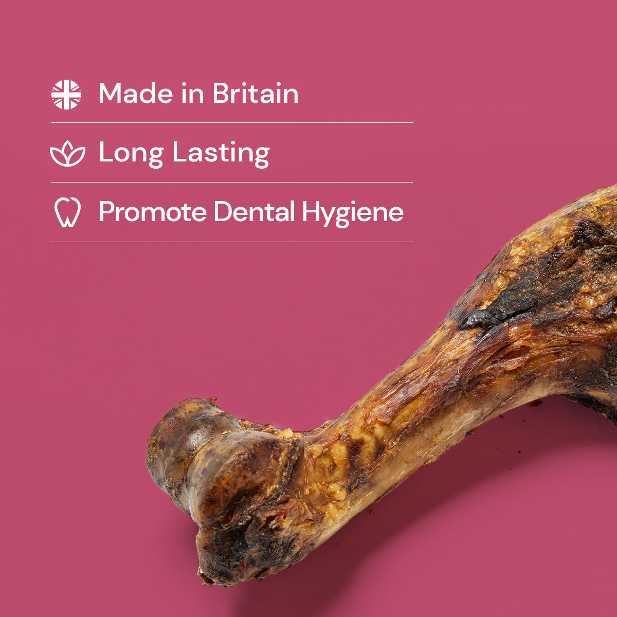 Pork Femur Bones