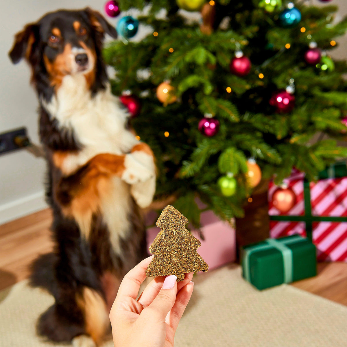 Gourmet Christmas Trees