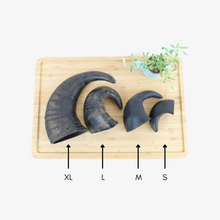 Load image into Gallery viewer, Buffalo Horns - XL/Large/Medium/Small (1pc)
