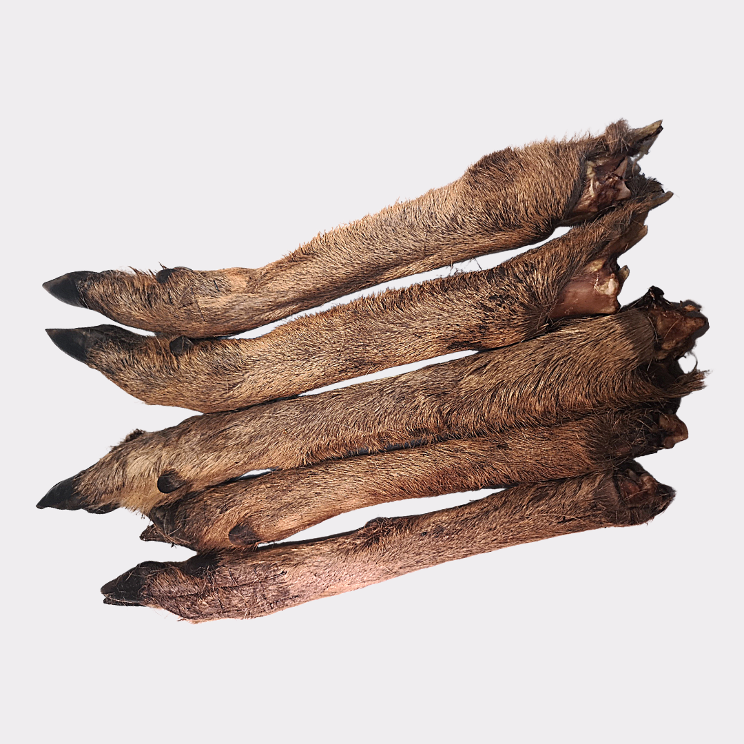 Venison (Deer) Legs - with fur/hair