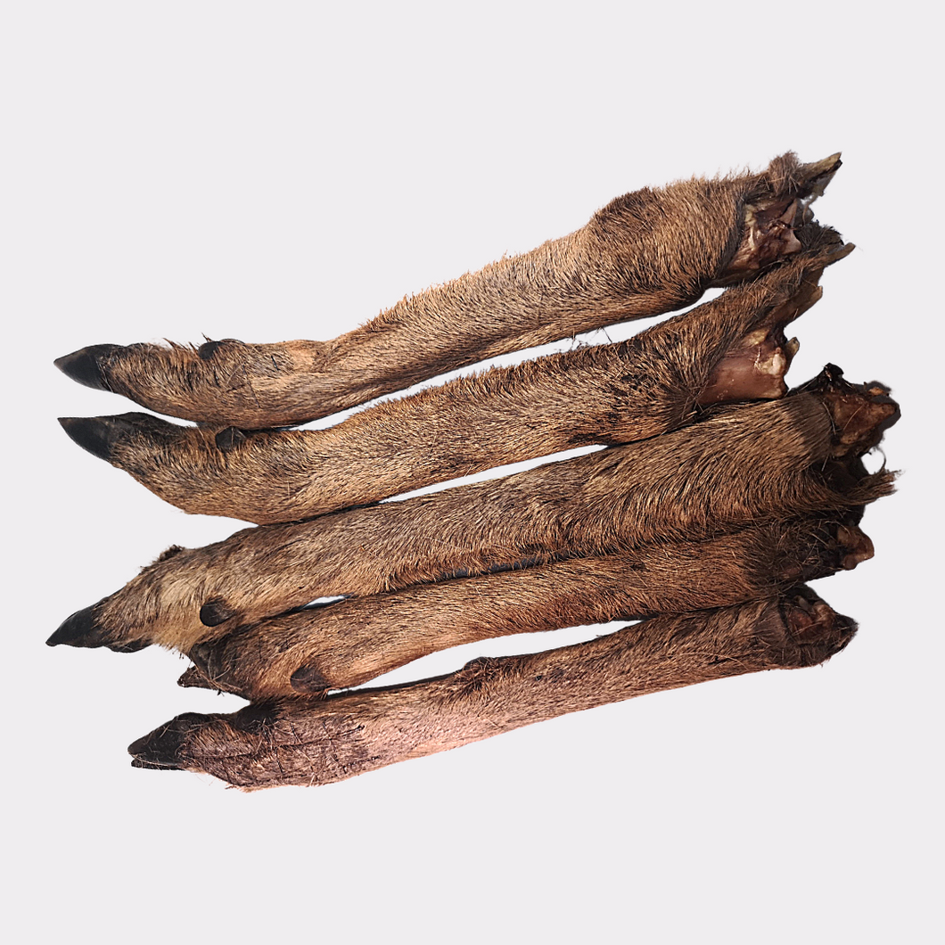 Venison (Deer) Legs - with fur/hair (5pcs, 10pcs & 50pcs)