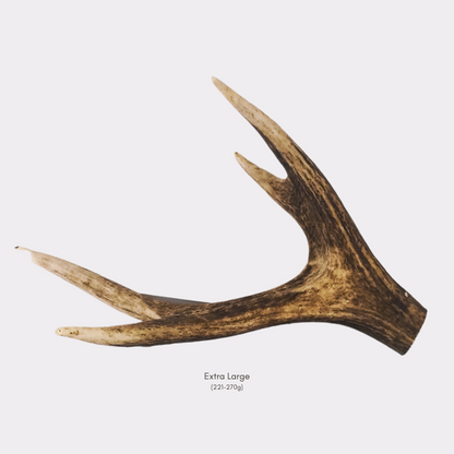 Mixed Cut Antlers