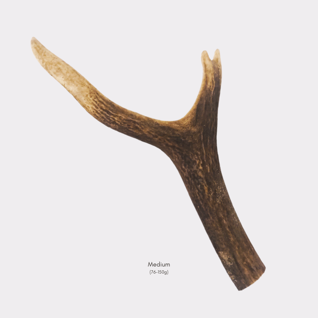 Mixed Cut Antlers