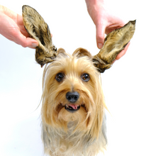 Load image into Gallery viewer, Venison Ears - with Hair (Regular: 10pcs &amp; 100pcs &amp; Small: 500g &amp; 4kg)
