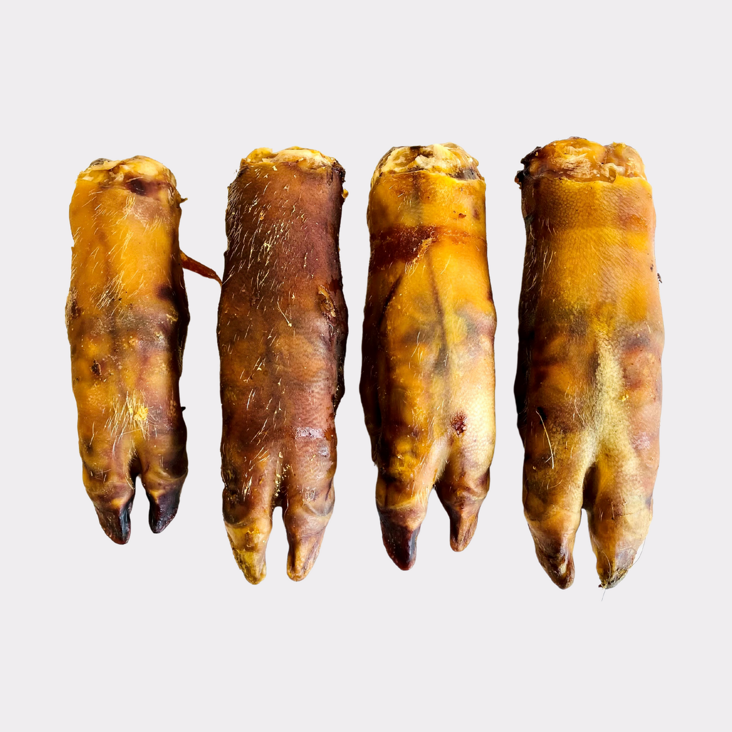 Pig Feet "Pig Trotters" (Large & Small)